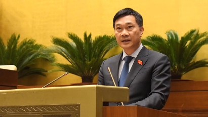 Forest land needs strict management