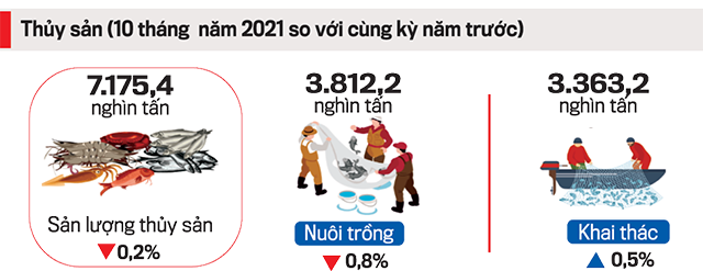 VnEconomy