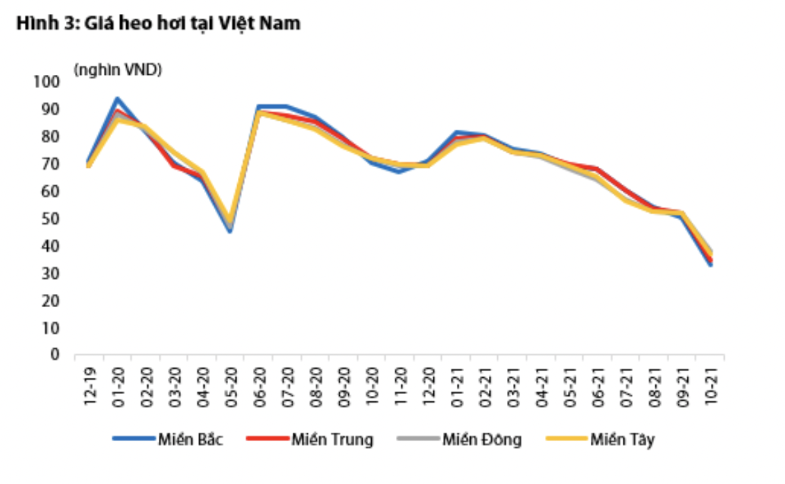 Nguồn: VDSC.