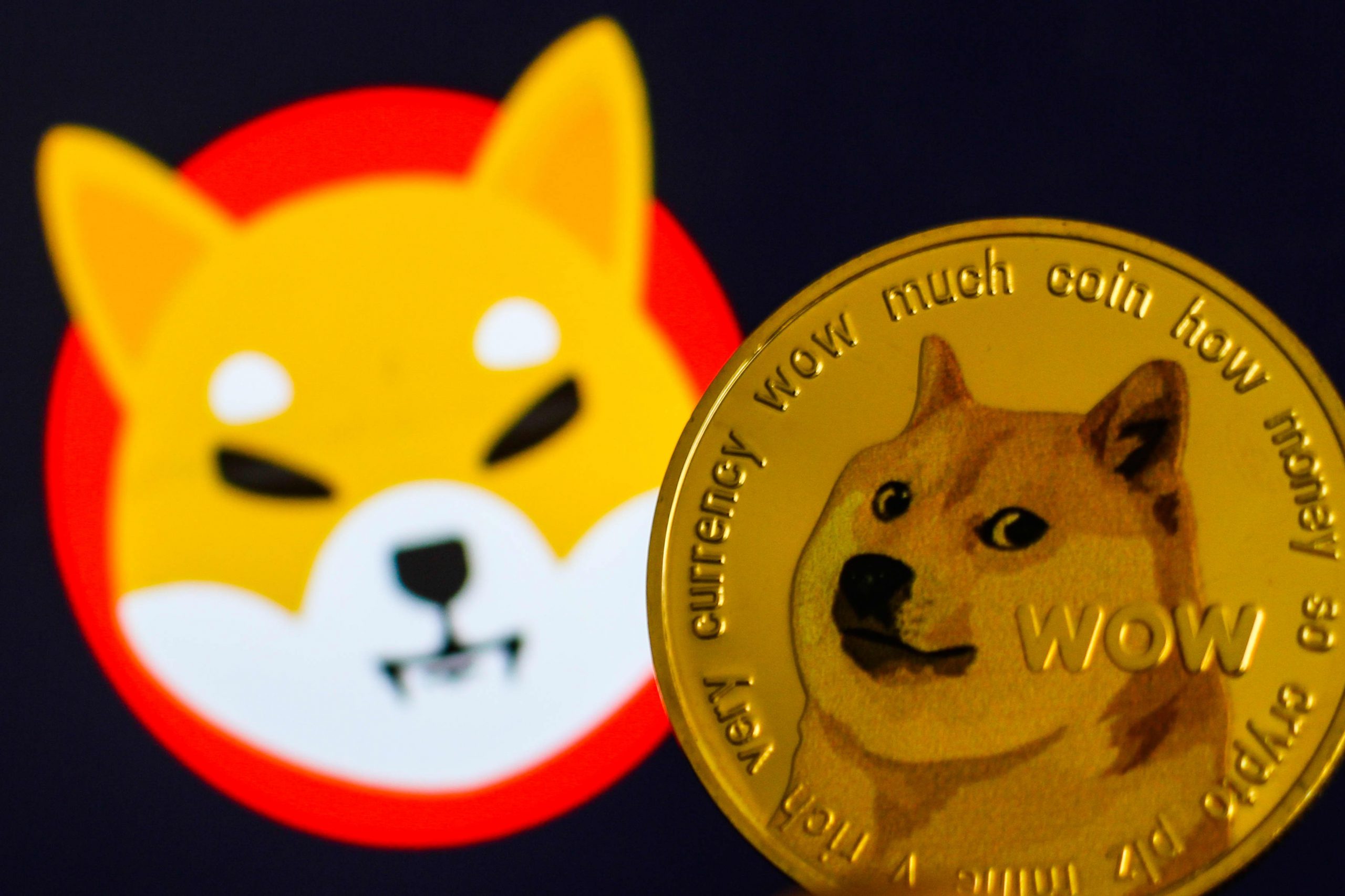 Hình Ảnh Hoạt Hình Dễ Thương Doge Sad Shiba Inu Cartoon Logo Hình minh họa  Sẵn có  Tải xuống Hình ảnh Ngay bây giờ  iStock