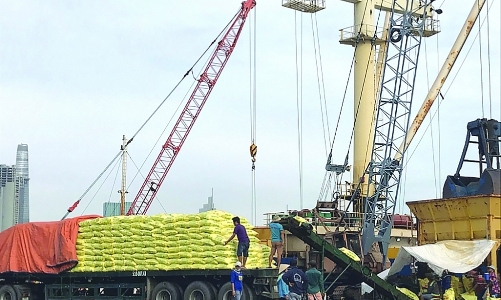 TP.HCM lo ngại khó giữ đà tăng trưởng xuất khẩu hàng hóa