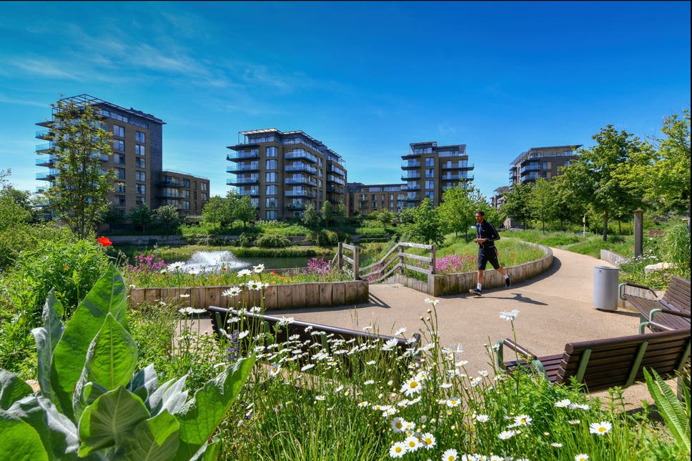 Mô hình nhà sinh thái kiểu mới tại Kidbrooke (London).