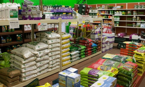 Thiếu tự chủ, ngành nông nghiệp phụ thuộc vào nhập khẩu