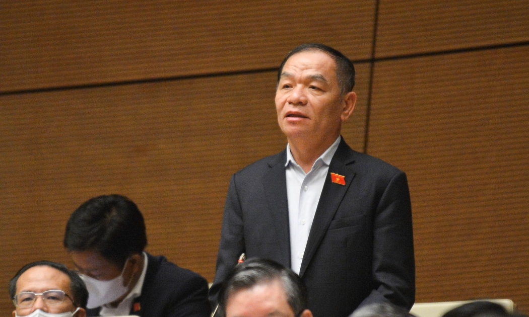 Đại biểu Lê Thanh Vân (Cà Mau) - Ảnh: VGP