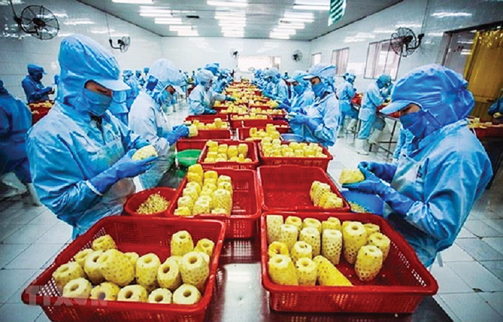 Rau quả vào EU chủ yếu dưới dạng cấp đông hoặc sơ chế cấp đông.