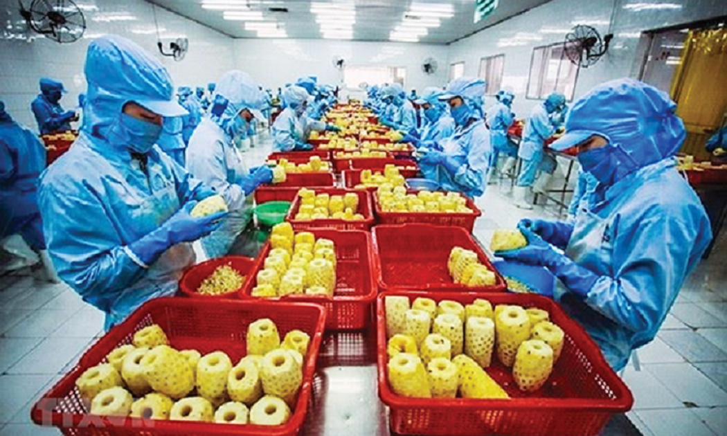 Rau quả vào EU chủ yếu dưới dạng cấp đông hoặc sơ chế cấp đông.