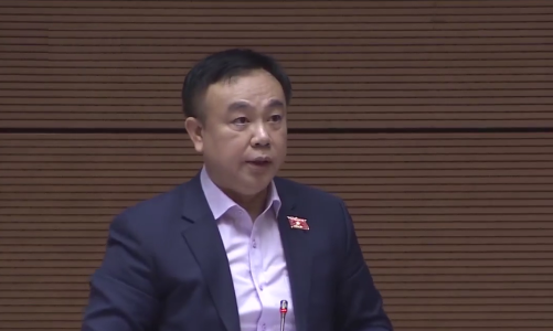 Đại biểu Quốc hội: “Đau xót khi pháp luật phải xử lý đội ngũ tinh hoa của đất nước”