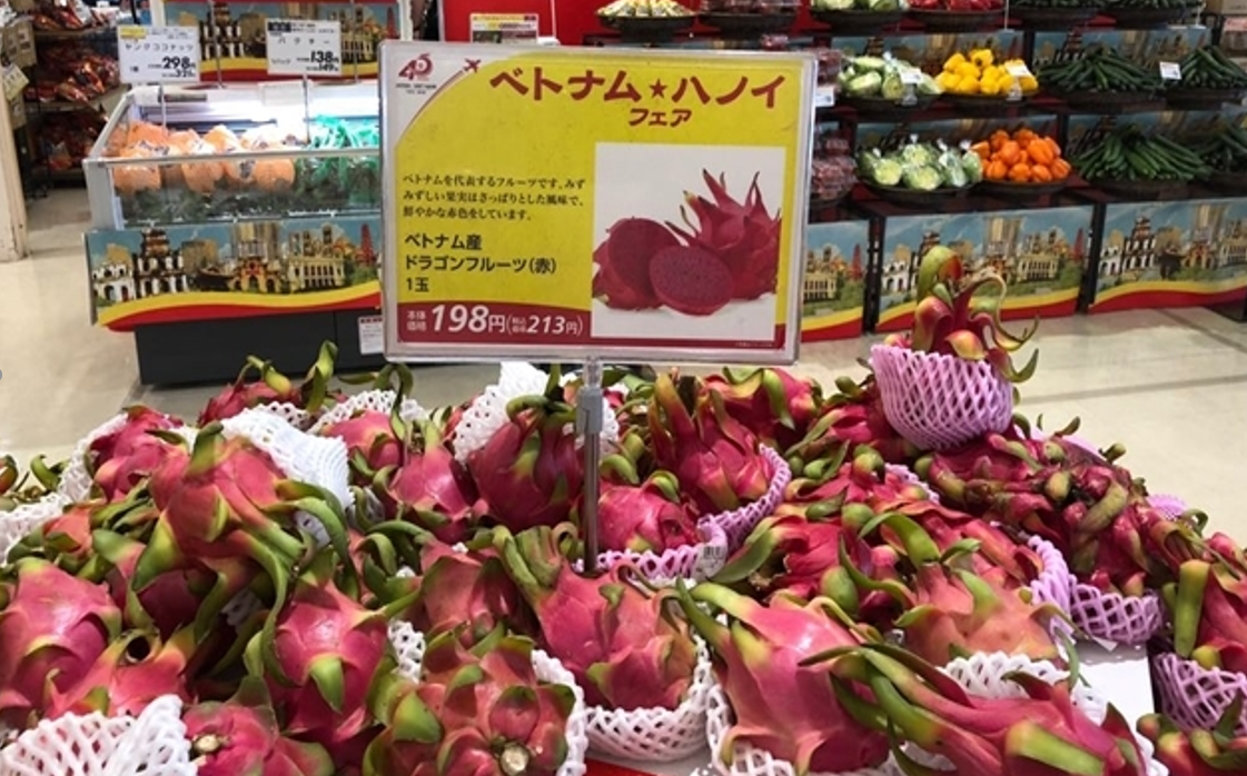 Thanh Long Việt Nam chiếm thị phần khoảng 80% tại thị trường Nhật Bản.