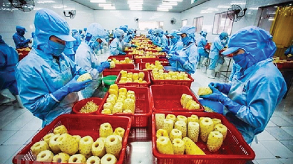 Strategy needed for vegetable exports to Europe