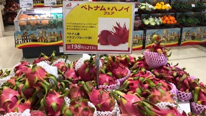 Japan market share of dragon fruit needs to be maintained