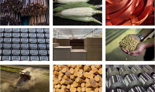 Bão giá hàng hoá toàn cầu “đốt cháy” lợi nhuận nhiều doanh nghiệp