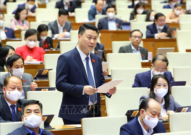 Đại biểu H&agrave; Đức Minh - Ảnh: TTXVN