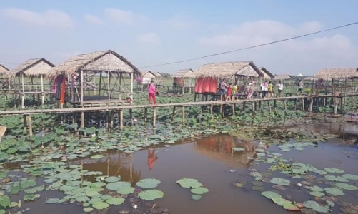 Mở ra nhiều hướng canh tác mới cho mùa nước nổi tại Đồng bằng sông Cửu Long