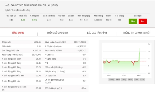 Giá tăng hơn 42%, lãnh đạo đăng ký bán cổ phiếu HAG trước khi từ nhiệm