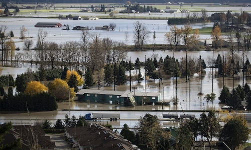 Việt Nam lọt top 10 nơi có công suất lắp đặt năng lượng mặt trời lớn nhất thế giới