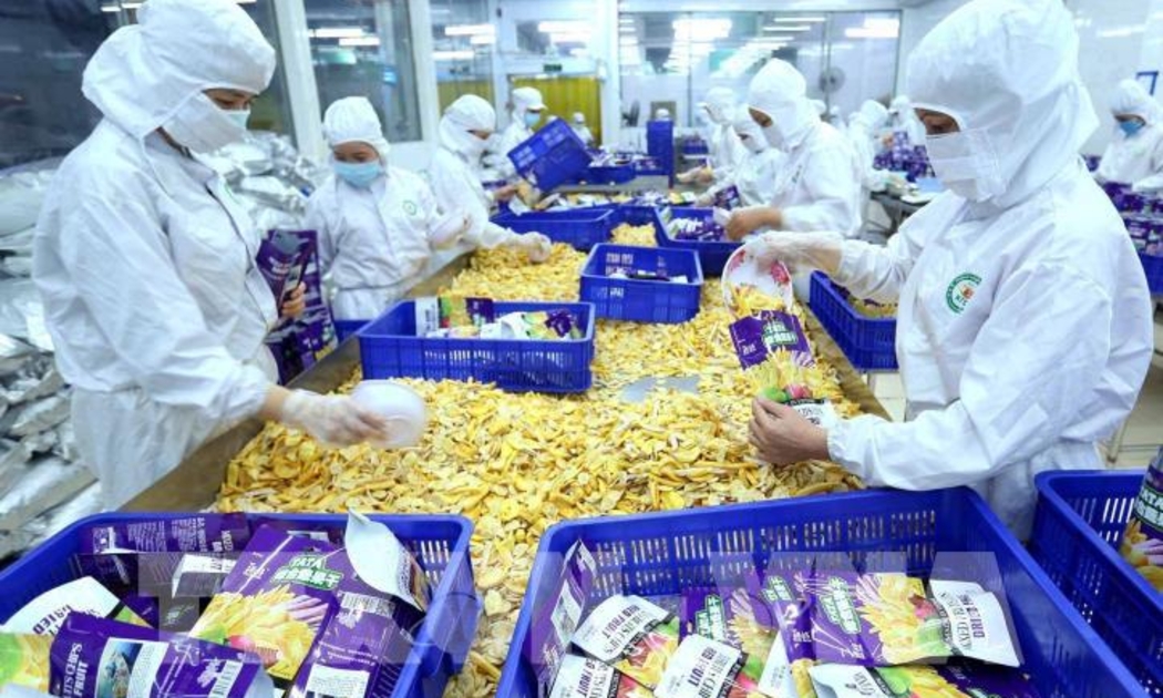 Hầu hết các địa phương đã khôi phục sản xuất trở lại.