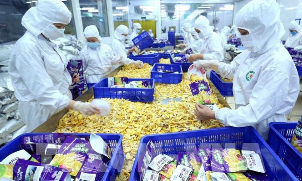 Không có cơ hội nào cho doanh nghiệp Việt tại EU nếu không có Global G.A.P