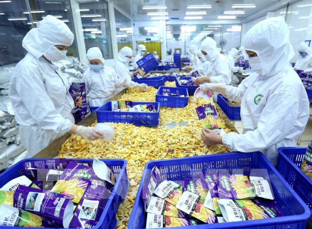 Không có cơ hội nào cho doanh nghiệp Việt tại EU nếu không có Global G.A.P