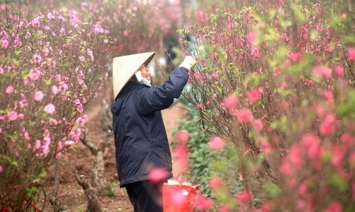 Tết Dương lịch năm 2022 sẽ được nghỉ 3 ngày 