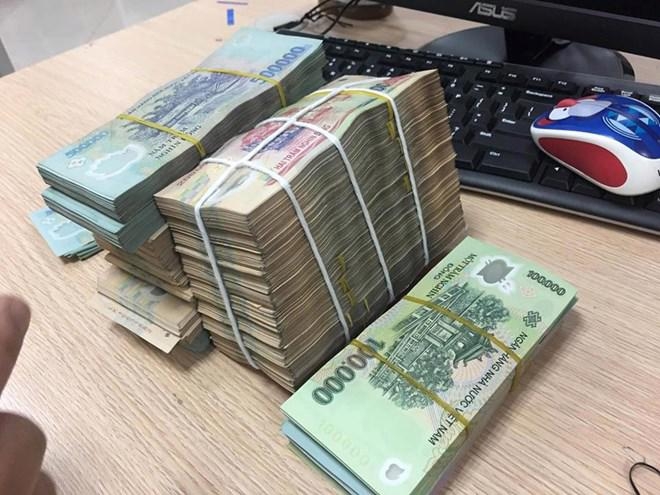 SBV’s foreign currency purchases put large volume of VND into market