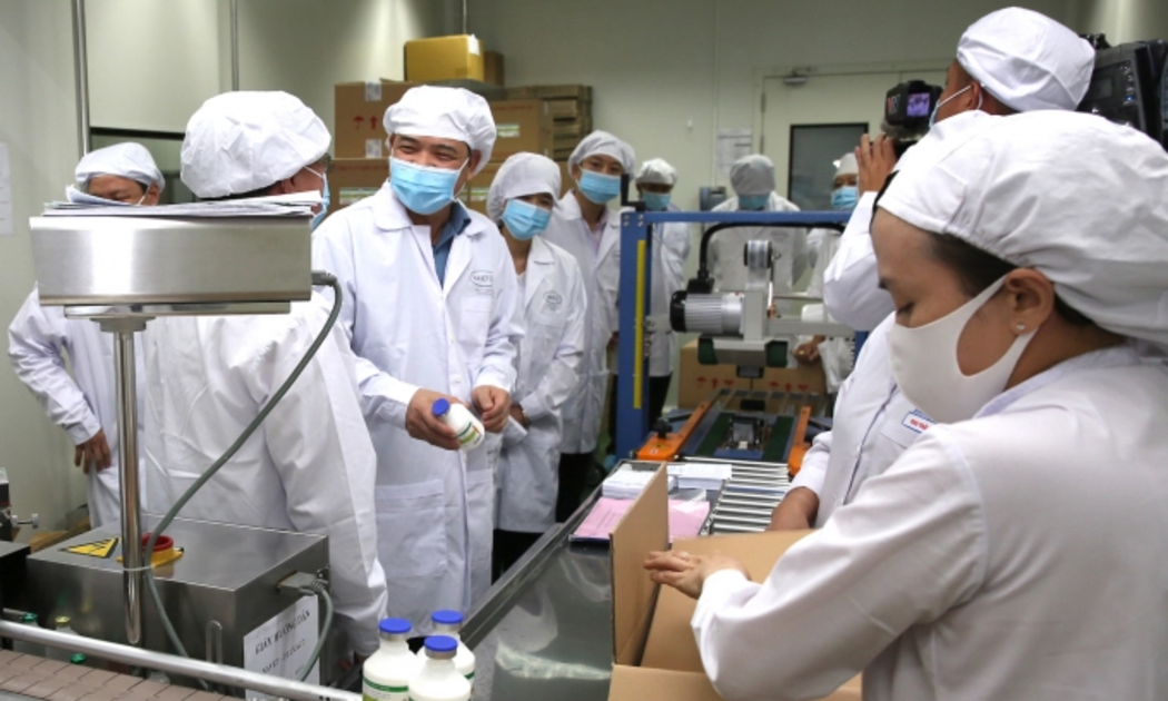 Sau thời gian dài nghiên cứu, vacine dịch tả lợn châu Phi của Navetco vẫn chưa sản xuất thương mại
