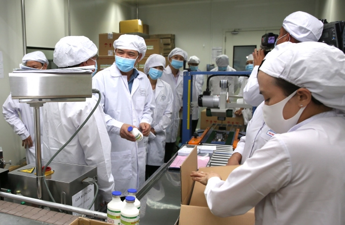 Sau thời gian dài nghiên cứu, vacine dịch tả lợn châu Phi của Navetco vẫn chưa sản xuất thương mại