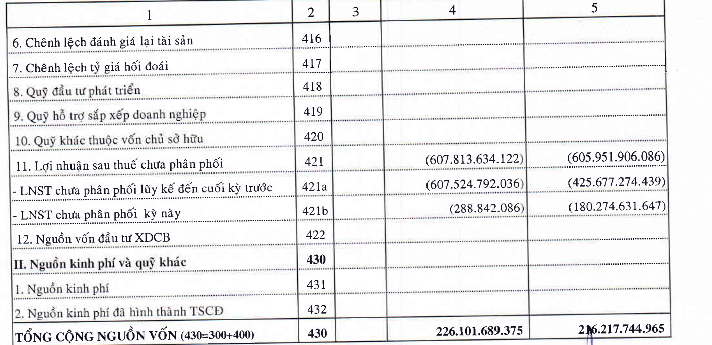Kết quả kinh doanh của PPI.