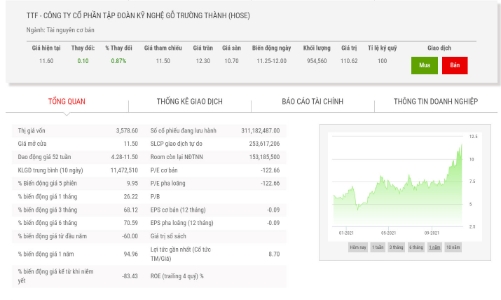 Gỗ Trường Thành được chấp thuận cho chào bán 100 triệu cổ phiếu để hoán đổi nợ