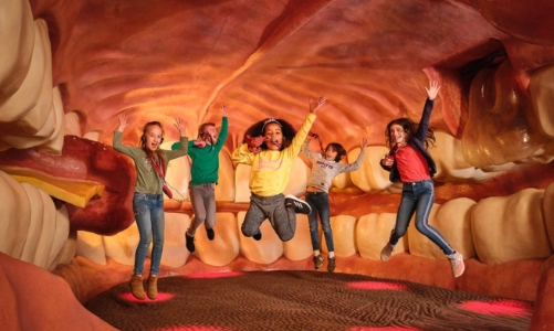 Một tour 55 phút để khám phá bảo tàng cơ thể