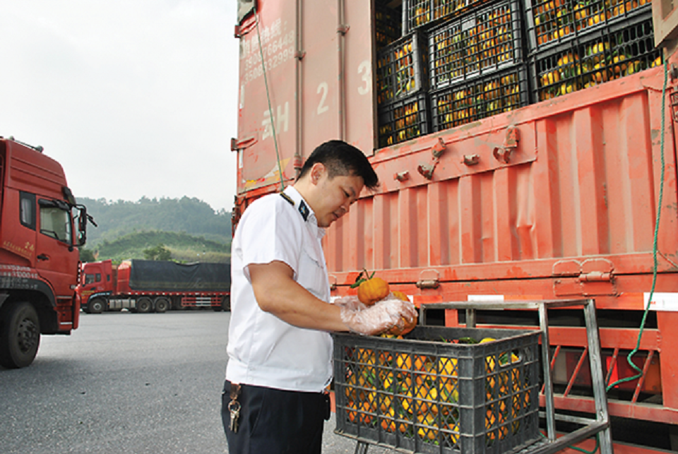 Chưa thể bỏ quy định kiểm dịch động thực vật nhập khẩu