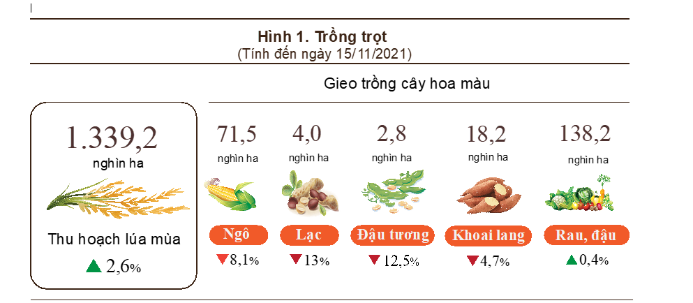 Kết quả một số loại cây trồng trong 11 tháng.