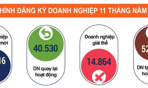 Tiếp đà phục hồi, doanh nghiệp thành lập mới tháng 11 bật tăng gần 50%
