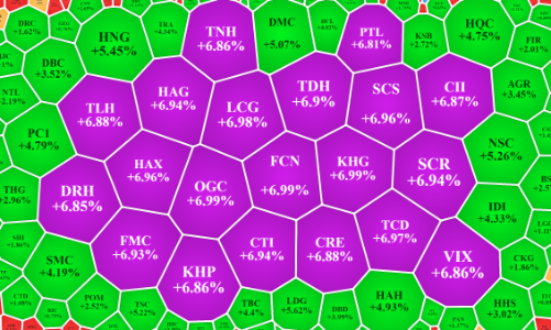 Cổ phiếu nhỏ lại tím ngắt, VIC tăng kịch trần