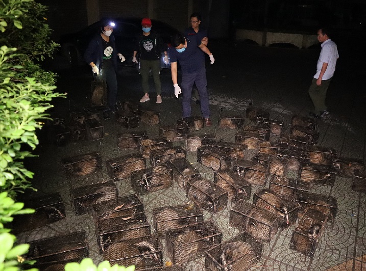 Cầy v&ograve;i bị nhốt trong lồng.