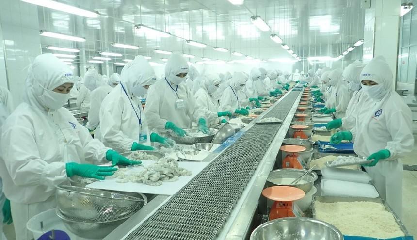Doanh nghiệp chế biến thủy sản đang là điểm sáng của nền kinh tế, nhưng cũng đang gặp khó vì một số rào cản. 