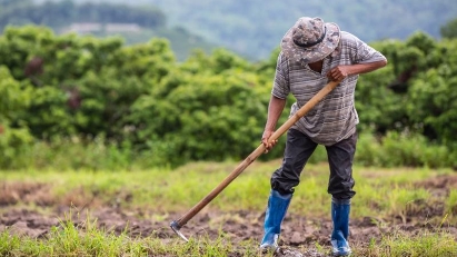 Vietnam aims to become ecological agriculture powerhouse