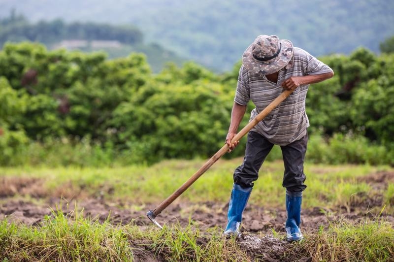 Vietnam aims to become ecological agriculture powerhouse