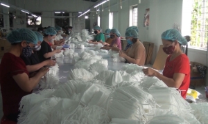 Công bố kết quả Tổng điều tra kinh tế và cơ sở hành chính 2021