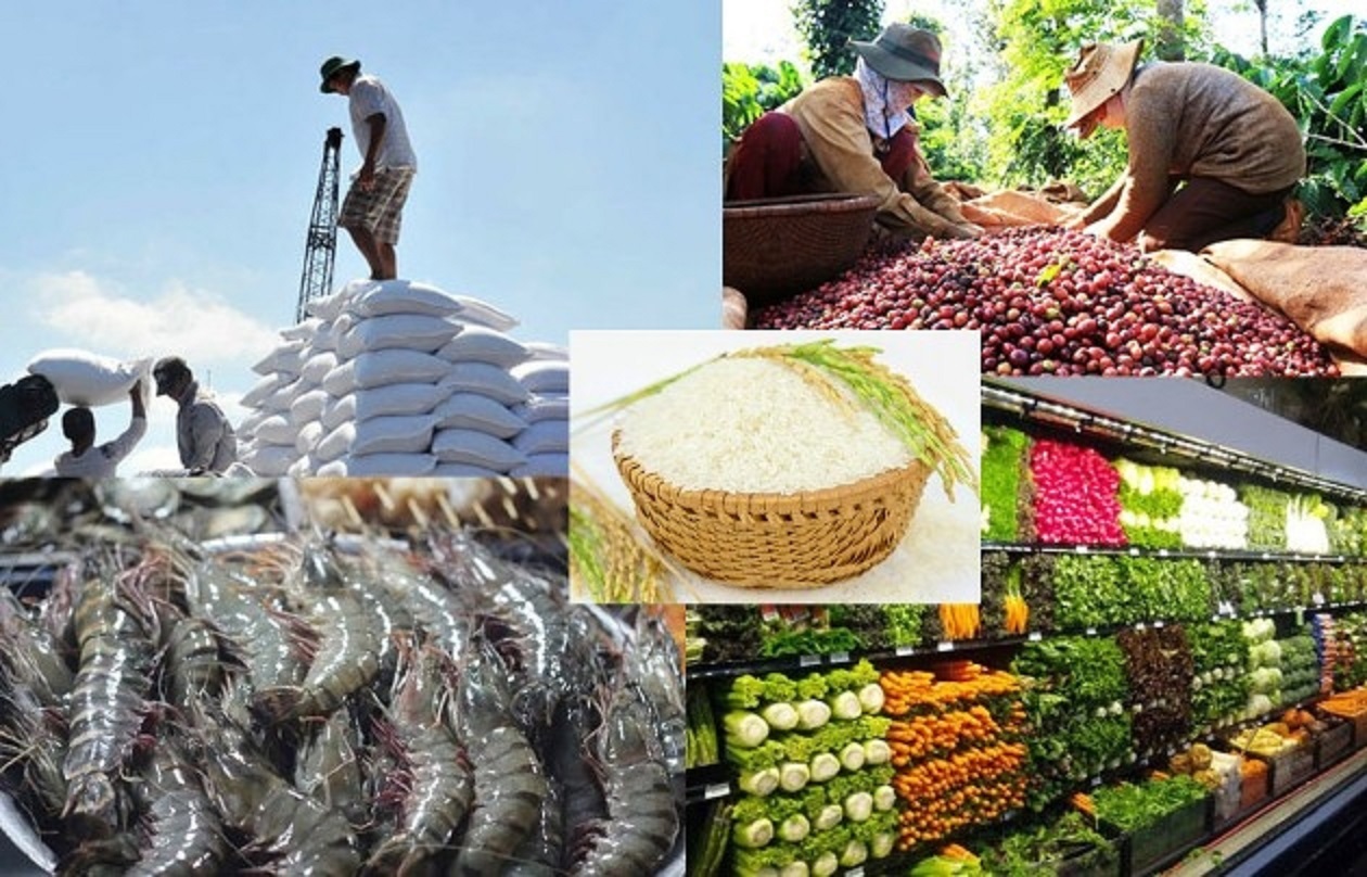 Xuất khẩu nông sản tăng trưởng cả về lượng và giá trị.