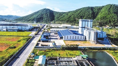 Nghe An to develop economic zone