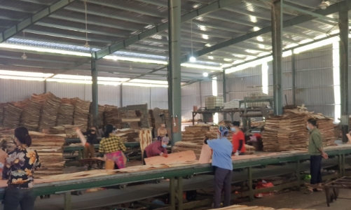 Nhiều mối lo ngại trong giao thương gỗ nguyên liệu 