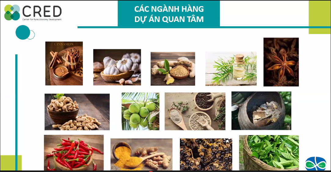Các sản phẩm gia vị hữu cơ tại Việt Nam đã được cấp chứng nhận bền vững