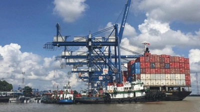 Trade picture showing great promise