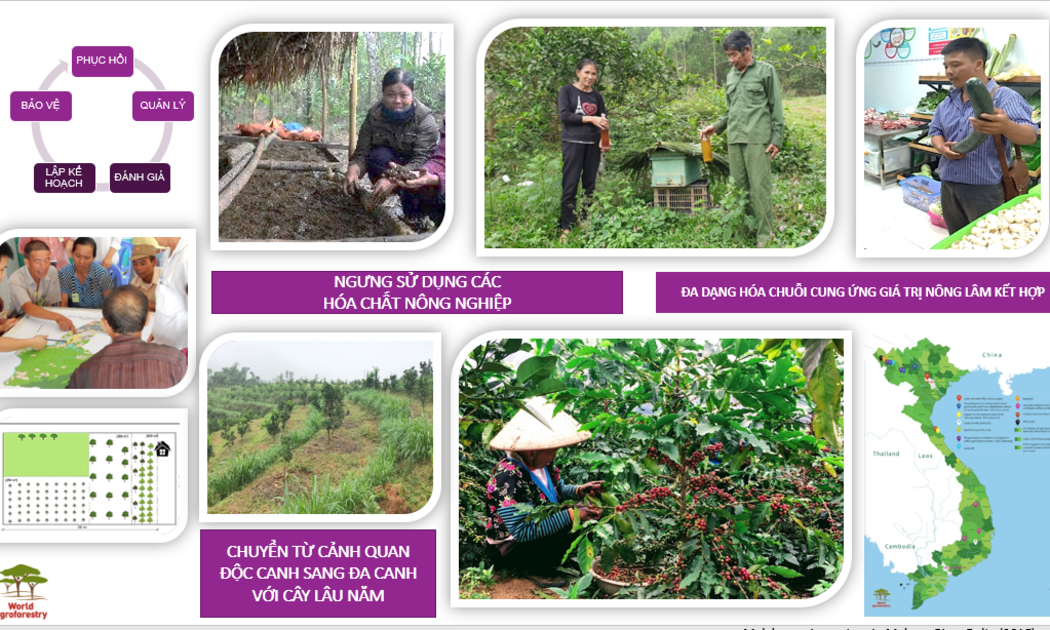 Khoa học giúp nông nghiệp phát triển bền vững