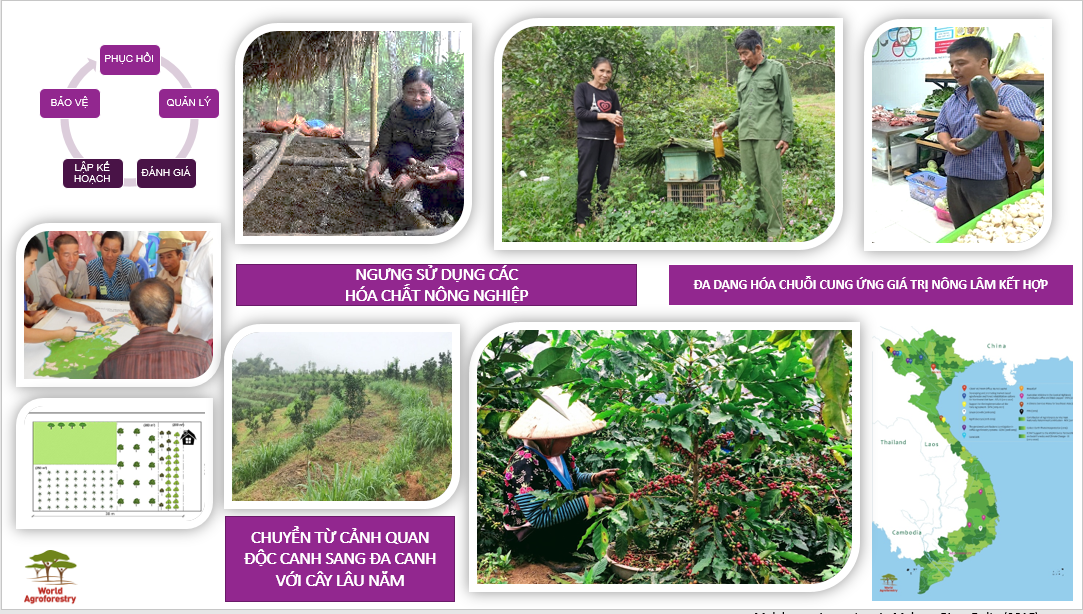 Khoa học giúp nông nghiệp phát triển bền vững