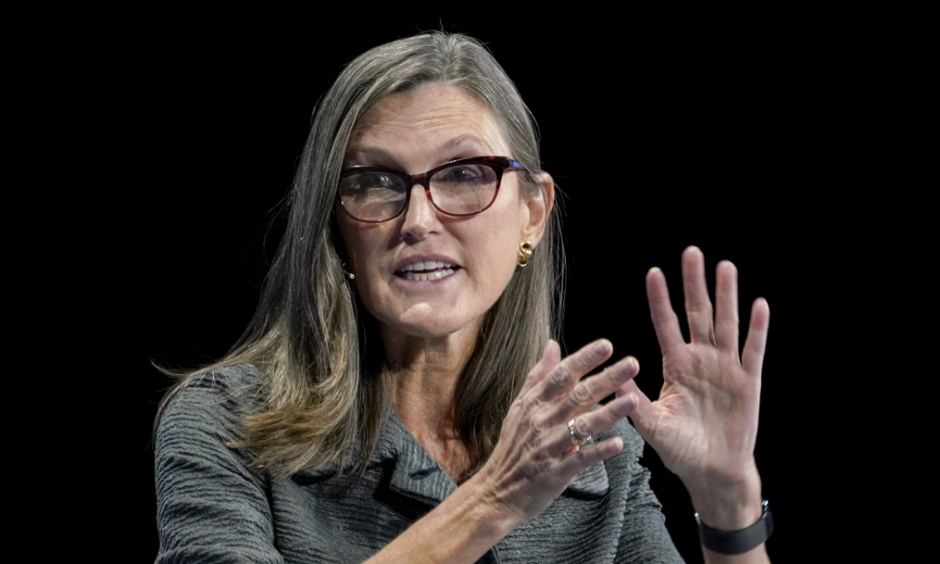 Nhà đầu tư Cathie Wood - Ảnh: CNBC.