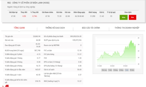 Quỹ ngoại Singapore miệt mài đăng ký mua cổ phiếu REE