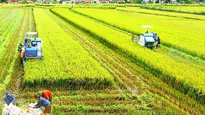 Digital transformation in agriculture a new approach for farmers