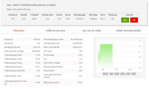 Giá tăng trần, Phó Tổng giám đốc HAG đăng ký mua 300.000 cổ phiếu