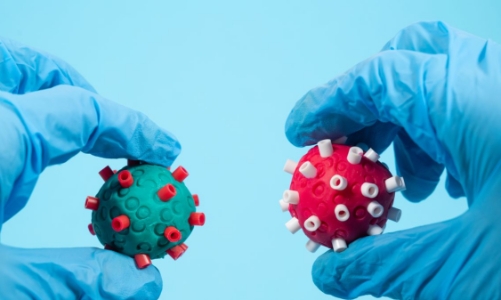 Nếu Omicron “thắng” Delta, dấu hiệu đại dịch sắp kết thúc?